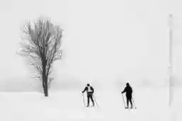 'Langläufer' in a higher resolution