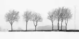 '124 Quersumme 7' in a higher resolution