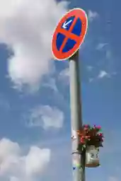 'Halterverbotsschild mit Blumen' in a higher resolution