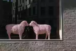 'Franz und Franzi' in a higher resolution