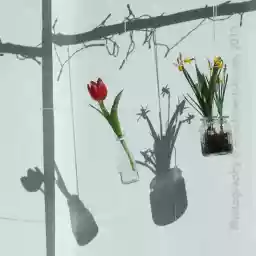 'Schaufensterdekoration' in a higher resolution