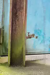 'Schnapphaken' in a higher resolution