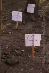 'Hundekacke' in a higher resolution