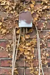 'Post im Herbst' in a higher resolution