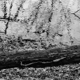 'Poseidon' in a higher resolution