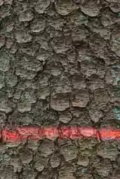 'Flatline' in a higher resolution