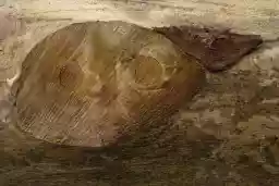 'Die Young' in a higher resolution