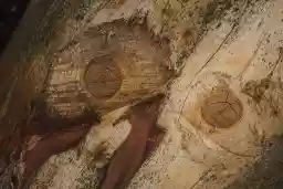 'Der letzte Blick' in a higher resolution