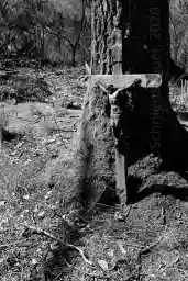 'Kreuz am Baum' in a higher resolution