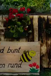 'Biene' in a higher resolution