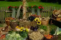 'Körbe' in a higher resolution