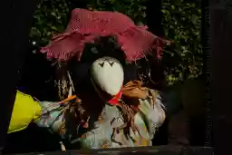 'Vogelscheuche' in a higher resolution