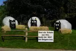 'Schafe' in a higher resolution