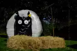 'Schaf' in a higher resolution