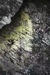 'Marian' in a higher resolution