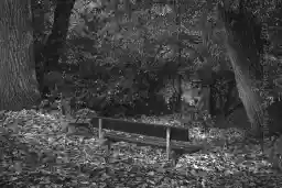 'Benches' in a higher resolution