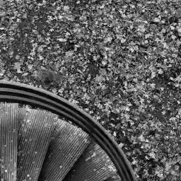 'Wendeltreppe' in a higher resolution