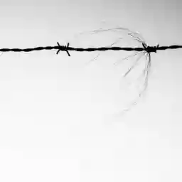 'Stacheldraht' in a higher resolution