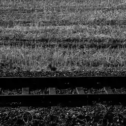 'Bahngleis' in a higher resolution