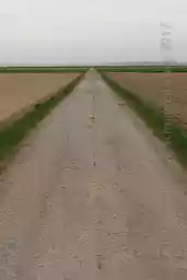 'Linien 4' in a higher resolution