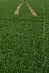 'Linien 6' in a higher resolution