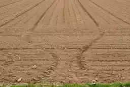 'Linien 9' in a higher resolution