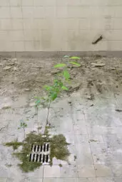 'Abfluss' in a higher resolution