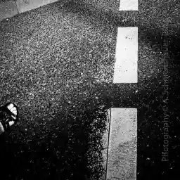 'lonely' in a higher resolution