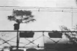 'Imaginary Garden' in a higher resolution