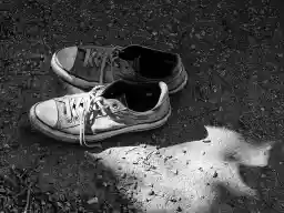 'Sneaker (6. Lothringair street festival)' in a higher resolution