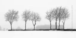 '124 Quersumme 7' in a higher resolution