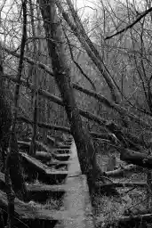 'wall' in a higher resolution