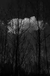 'cloud and trees' in a higher resolution