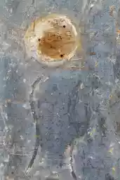 'Little Boy' in a higher resolution