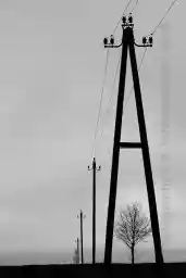 'Natur und Technik' in a higher resolution