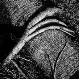 '3 Finger' in a higher resolution