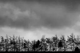 'Brouillard Dense I-I-I-I' in a higher resolution