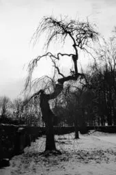 'Cemetery' in a higher resolution