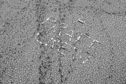 'A Pirate Crew' in a higher resolution