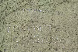 'Techno Fortnite Season' in a higher resolution