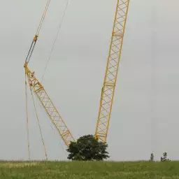 'Kran und Baum' in a higher resolution