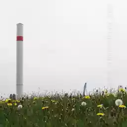 'Turm, Kran und Blumenwiese' in a higher resolution