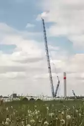 'Kran, Turm und Blumenwiese' in a higher resolution