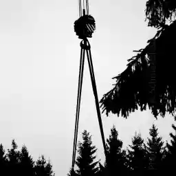 'Kranhaken' in a higher resolution